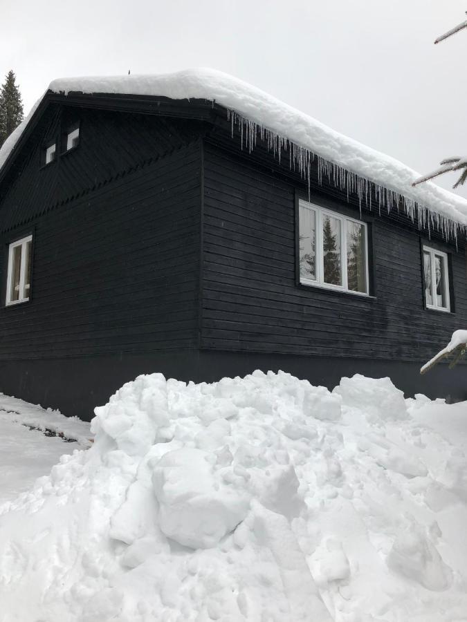 Apartament Nordik 1496 Wysokie Tatry Zewnętrze zdjęcie